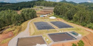 Sistrates gera energia, fertilizante e água a partir de dejetos suínos