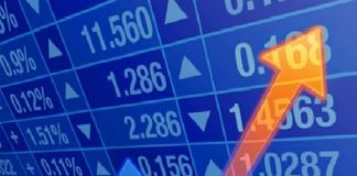 ARTIGO – Setor agropecuário: o salvador da pátria em termos de PIB?