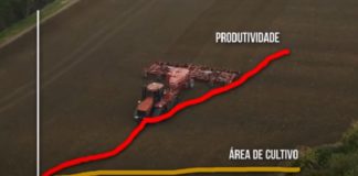 ARTIGO – E se o Brasil produzisse 100 milhões de toneladas de grãos a menos?