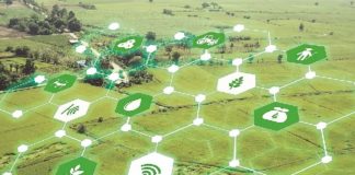 ARTIGO – Setor de máquinas agrícolas se reinventa e está cada vez mais presente no digital