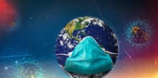 ARTIGO – Foco no comportamento e na velocidade de ação são essenciais nesse momento para o mercado agro