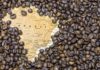 ESPECIAL – Exportações de café batem recorde histórico pelo segundo ano consecutivo