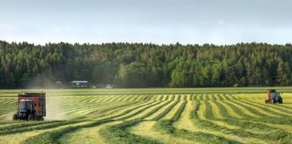 Usado para pagamento de parte do ITR, TDA deve registrar queda de até 60% no estoque, prevê escritório de advocacia