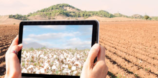 Plataforma web controla processos de comercialização de commodities agrícolas