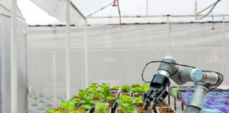 Estudo de consultoria global mostra que produtor brasileiro está menos preocupado com os impactos da Covid-19 do que norte-americanos e alemães