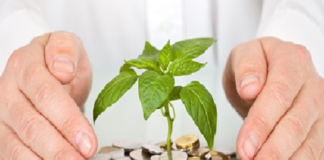 CPR eletrônica moderniza contratação de crédito rural