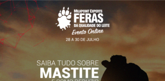 Feras da Qualidade do Leite, pela Embrapa
