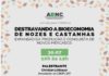 Bioeconomia e expansão da produção de nozes e castanhas em debate