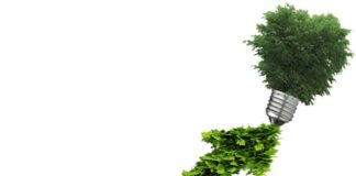 Bioeconomia: Mapa investe no fortalecimento das atividades com seleção de projetos