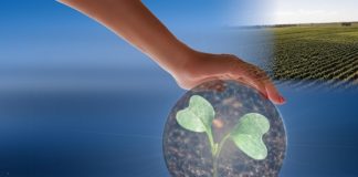 Agro é destaque no Festival Sebrae for Startups