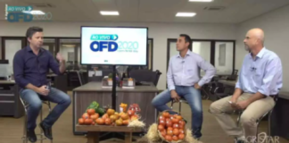 Open Field Day 2020 mostra lançamentos para horticultura e responde dúvidas de produtores rurais on-line