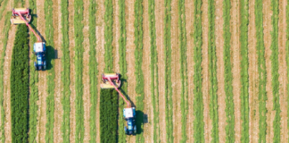 Mais de 14 milhões de hectares à beira da degradação foram recuperados em todo o mundo, desde 2013