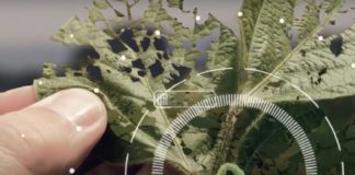 NOVIDADE – Inseticida premium e multiculturas para controle do complexo de lagartas