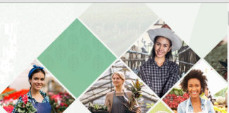 Prêmio Mulheres do Agro 2020: inscrições até 15 de setembro