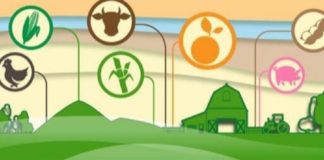 Fórum Paulista do Agronegócio passa a ser presidido por cooperativista