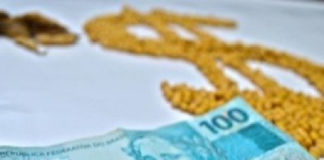 Produtores rurais paulistas podem acessar crédito com juro zero em programa emergencial