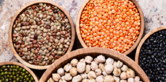 Proteínas vegetais são tema de último webinar gratuito do Ital sobre ingredientes saudáveis para alimentos e bebidas