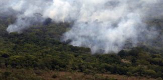 Queimadas: Governo federal decreta proibição por 120 dias em todo o território nacional