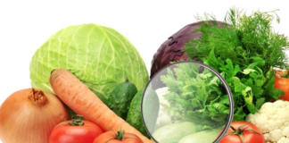 Mais do que cumprir legislação, produtores têm retorno com rastreabilidade dos alimentos