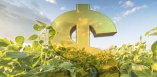 Plano Safra 2020/2021 – Sicoob liberará R$ 16 bilhões