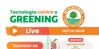 Tecnologia contra o greening: tema de live