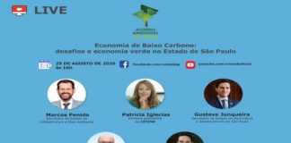 Economia de Baixo Carbono – desafios e economia verde no Estado de São Paulo em live