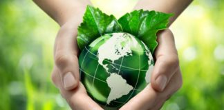 Agricultura Sustentável ganha Plano de Investimento