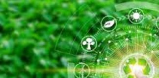 ARTIGO – Agricultura de Precisão: a chave para neutralizar o aumento do custo da safra 2020/2021 e aumentar a rentabilidade do agricultor