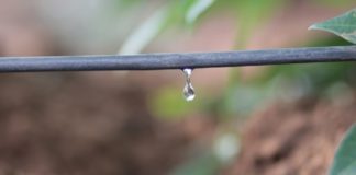 Artigo – Eficiência hídrica no agronegócio