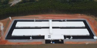 Empresa de genética de aves investe R$ 20 mi em núcleo de bisavós