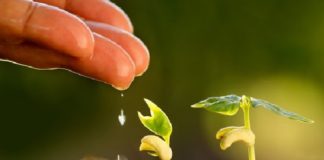 Selo Mais Integridade: inclusão no banco de dados é o passo inicial