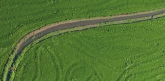 Arroz irrigado tem 77% da área e 90% da produção no Brasil, observam ANA e Conab