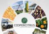 Campo Digital: tecnologia agrícola da Coopercitrus para cooperados
