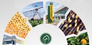 Campo Digital: tecnologia agrícola da Coopercitrus para cooperados