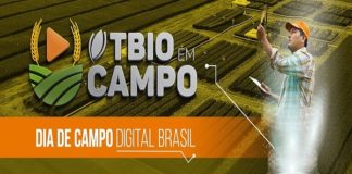 Dia de campo digital discute trigo como opção rentável e fortaleza agronômica