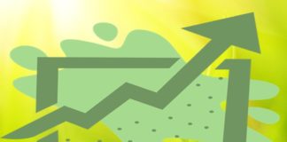 Consultoria informa: faturamento do agro pode aumentar até 25% em 2020