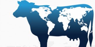 Circuito Expo Interexpress: capacitação, negócios e aperfeiçoamento técnico ao Rio Grande do Sul