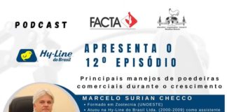 PODCAST – Os principais manejos de poedeiras comerciais durante o crescimento: novo podcast da FACTA