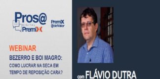 Bezerro e boi magro: como lucrar na seca em tempo de reposição cara? – resposta no Pros@ Digital