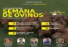 Semana de ovinos IZ abordará temas da pesquisa ao campo