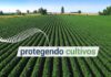 Produtividade da agricultura é desafiada por pragas resistentes, conclui Sindiveg