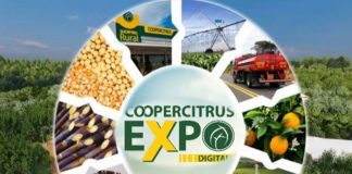 Coopercitrus Expo Digital supera R$1,1 bilhão em negócios e mais de 97 mil visitas
