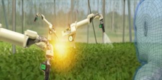 ESPECIAL – No pós-pandemia, tomadas de decisão estratégicas serão mais essenciais