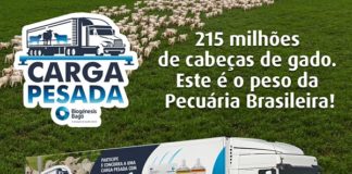 “Circuito Carga Pesada” leva capacitação, negócios e aperfeiçoamento técnico pecuário a todo o Brasil