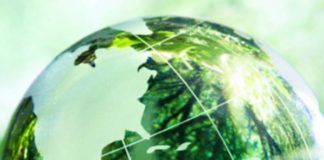 DESTAQUE – Green Bond é criado seguindo critério de agricultura do Climate Bonds Standard