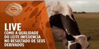 Confraria do Queijo: evento trata de todas as fases do processo de produção