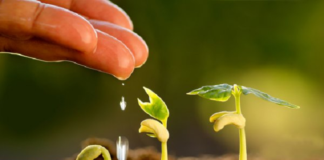 ESPECIAL – Agronomia além do campo