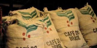 Estoque de café da Conab atinge 13,1 milhões de sacas do setor privado