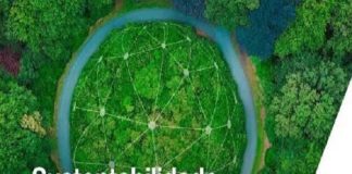 Webinars sobre o Futuro da Sustentabilidade Corporativa