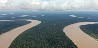 Orientação jurídica com exigências para multar produtores foi revisada, alerta Bueno, Mesquita e Advogados